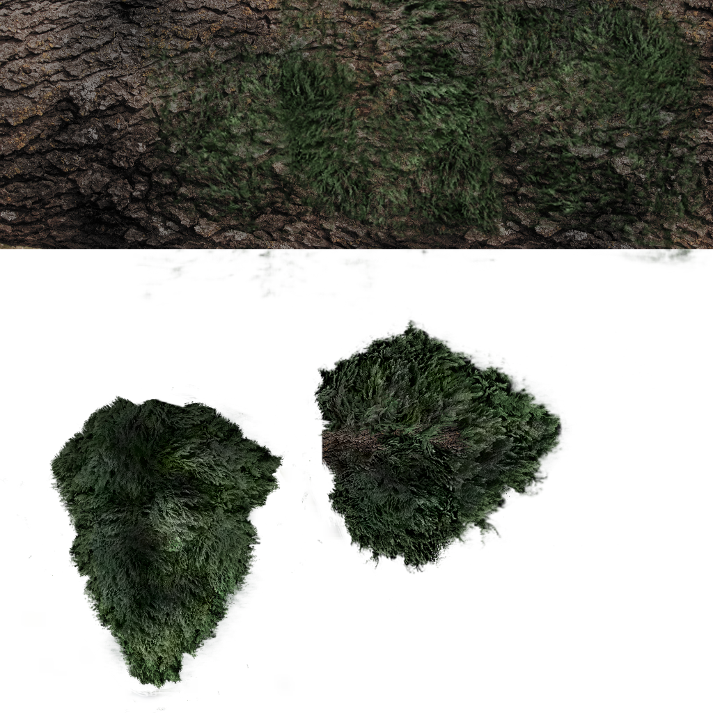 Textures/tree.png