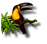 libpng/contrib/gregbook/toucan.png